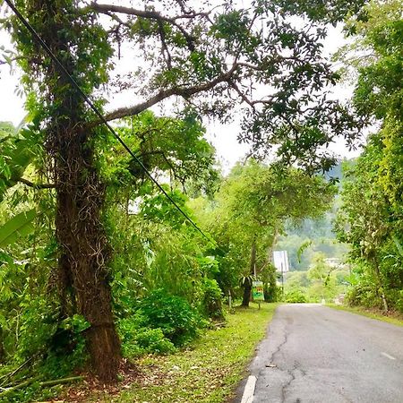 Selesa Resort Homestay Janda Baik المظهر الخارجي الصورة