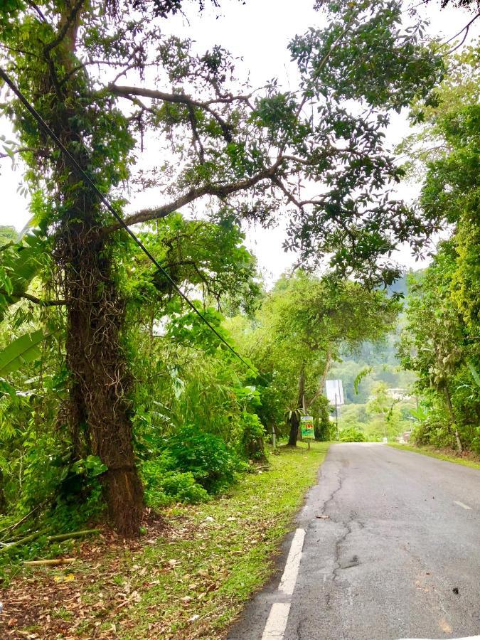 Selesa Resort Homestay Janda Baik المظهر الخارجي الصورة